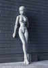 фотография Tamashii OPTION Brick Wall Gray Ver.