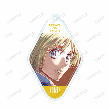 главная фотография Attack on Titan Trading Ani-Art Acrylic Keychain vol.3: Armin