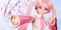 фотография Dollfie Dream Sakura Miku 2.0