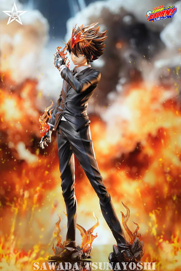 главная фотография Tsunayoshi Sawada