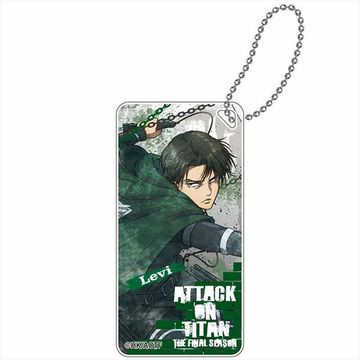 главная фотография Attack on Titan The Final Season (Grunge) Domiterior Keychain: Levi