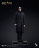 фотография INART Severus Snape