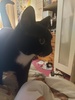 Kyuusaku
