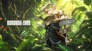 фотография Lost Roronoa Zoro