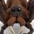 Wizarding World Harry Potter Series: Aragog